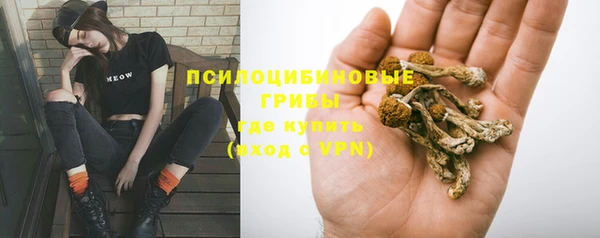 крисы Абдулино
