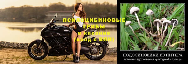 дурь Абинск
