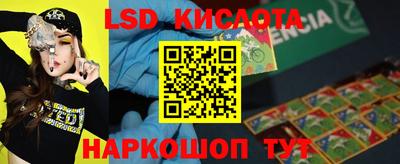 Альфа ПВП Ставрополь