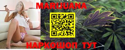 Альфа ПВП Ставрополь