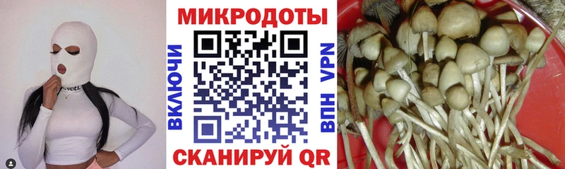 Галлюциногенные грибы MAGIC MUSHROOMS  дарнет шоп  OMG зеркало  Нягань 