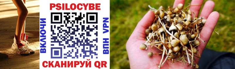 Псилоцибиновые грибы Psilocybe Нягань